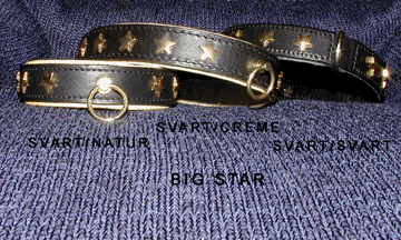 hundhalsband dog collar big star